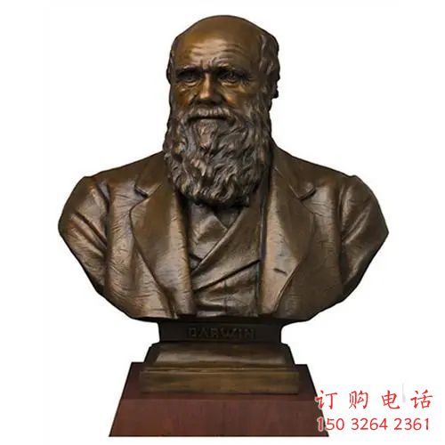 達爾文人物頭像廠家