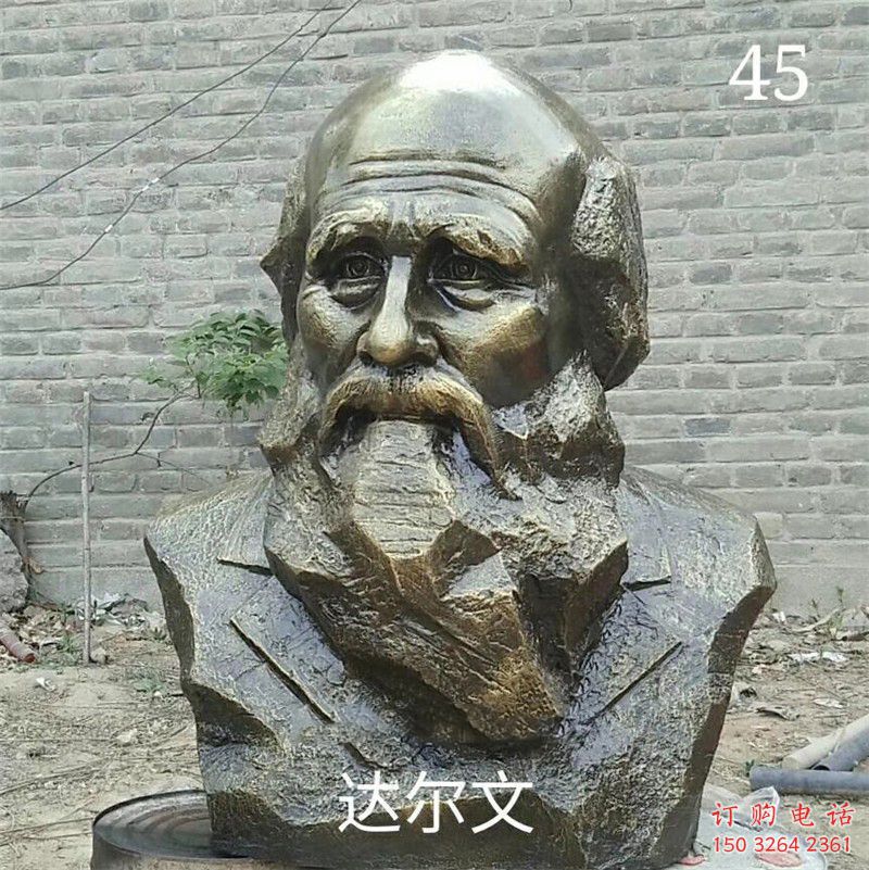 達(dá)爾文公園人物頭像廠家