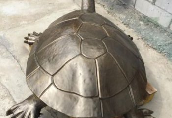 街頭龜銅雕廠家 城市動(dòng)物銅雕