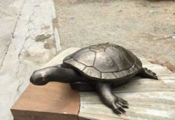 別墅龜銅雕廠家 公園動(dòng)物銅雕