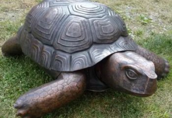 抽象烏龜銅雕廠家 辦公室動(dòng)物銅雕