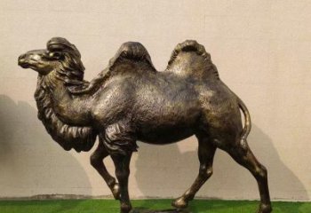 青銅駱駝銅雕廠家 公園動物銅雕