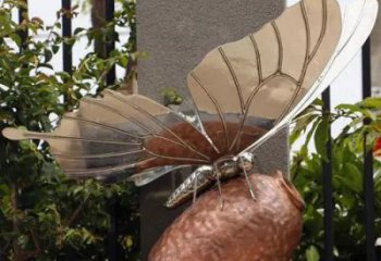 廣場蝴蝶銅雕廠家 青銅動物銅雕