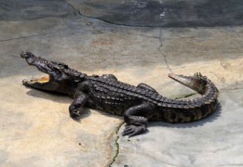 別墅鱷魚銅雕廠家 公園動物銅雕