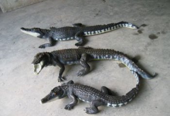 彩繪鱷魚銅雕廠家 仿古動物銅雕