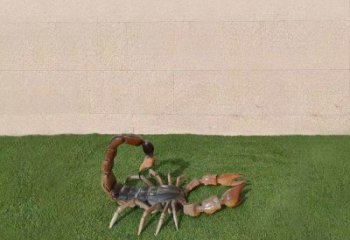 公園蝎子銅雕廠家 街頭動物銅雕